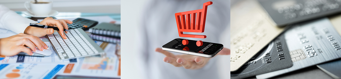 master ecommerce